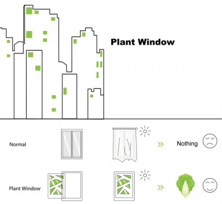 Окна-огороды Plant Window