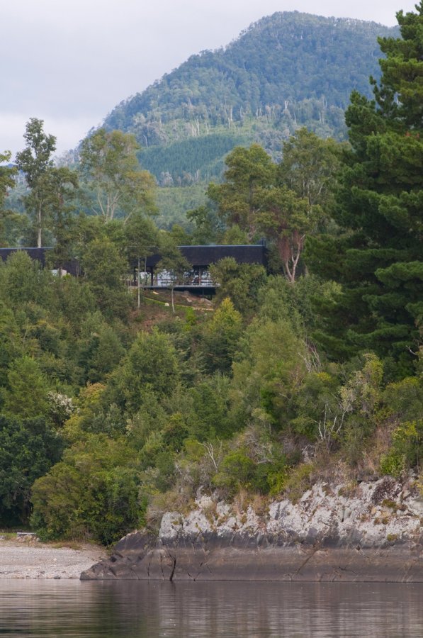 Современная резиденция в лесу Чили