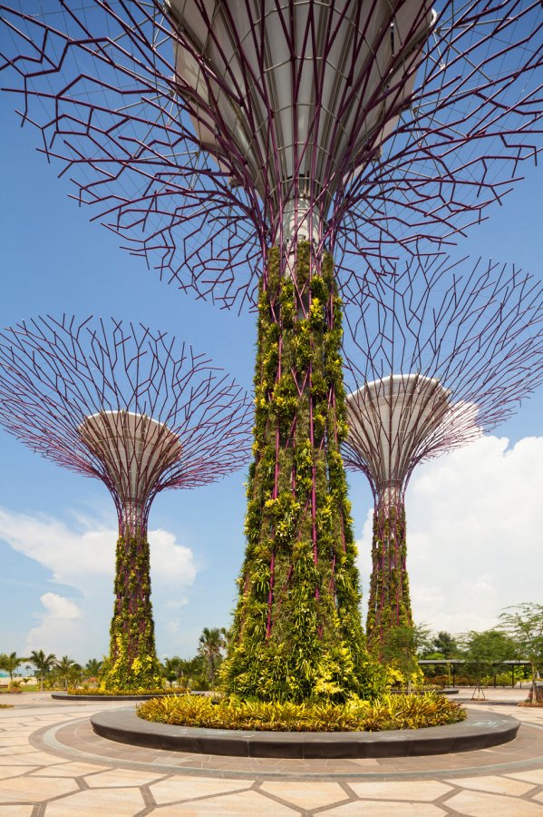 Gardens by the Bay - парк «Сады у залива» в Сингапуре