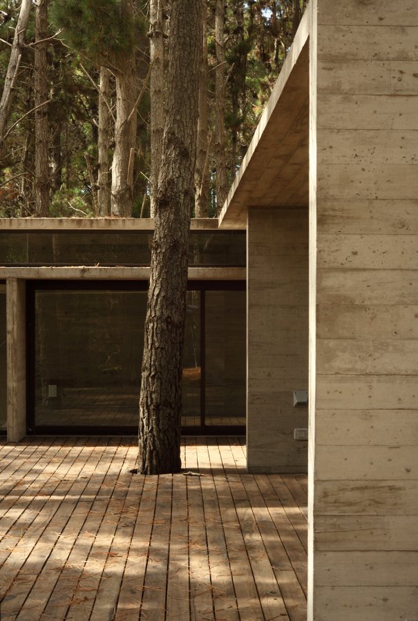 Дом из бетона, стекла и сосновых досок.