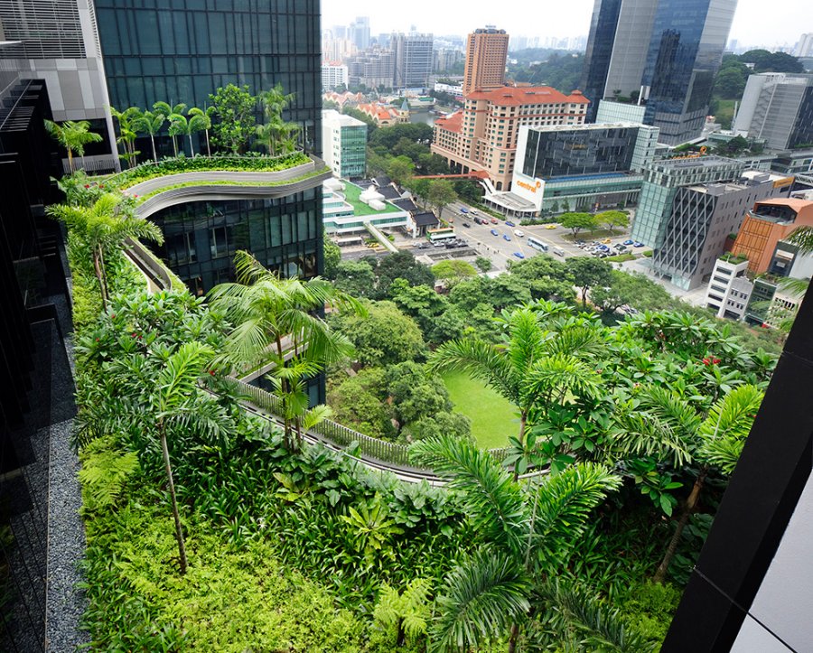Отель PARKROYAL - городские "джунгли" в Сингапуре