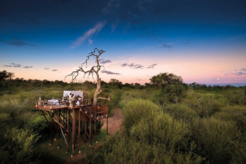 Отель Lion Sands Game Reserve в африканском сафари